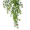 Green Boxwood Bush by Ashland®